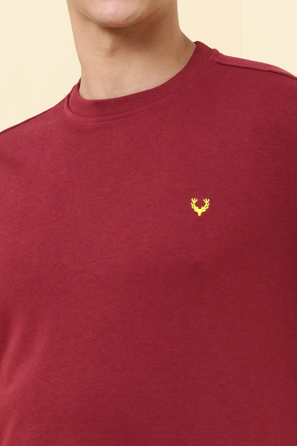 Allen Solly Men's Crew Neck Sweatshirt (ASSTQRGF567956_Maroon_M) - Image 3