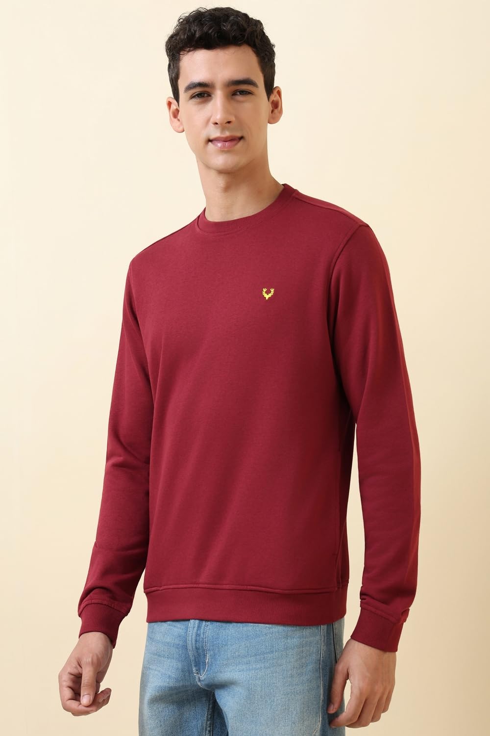 Allen Solly Men's Crew Neck Sweatshirt (ASSTQRGF567956_Maroon_M) - Image 5
