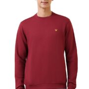 Allen Solly Men's Crew Neck Sweatshirt (ASSTQRGF567956_Maroon_M)