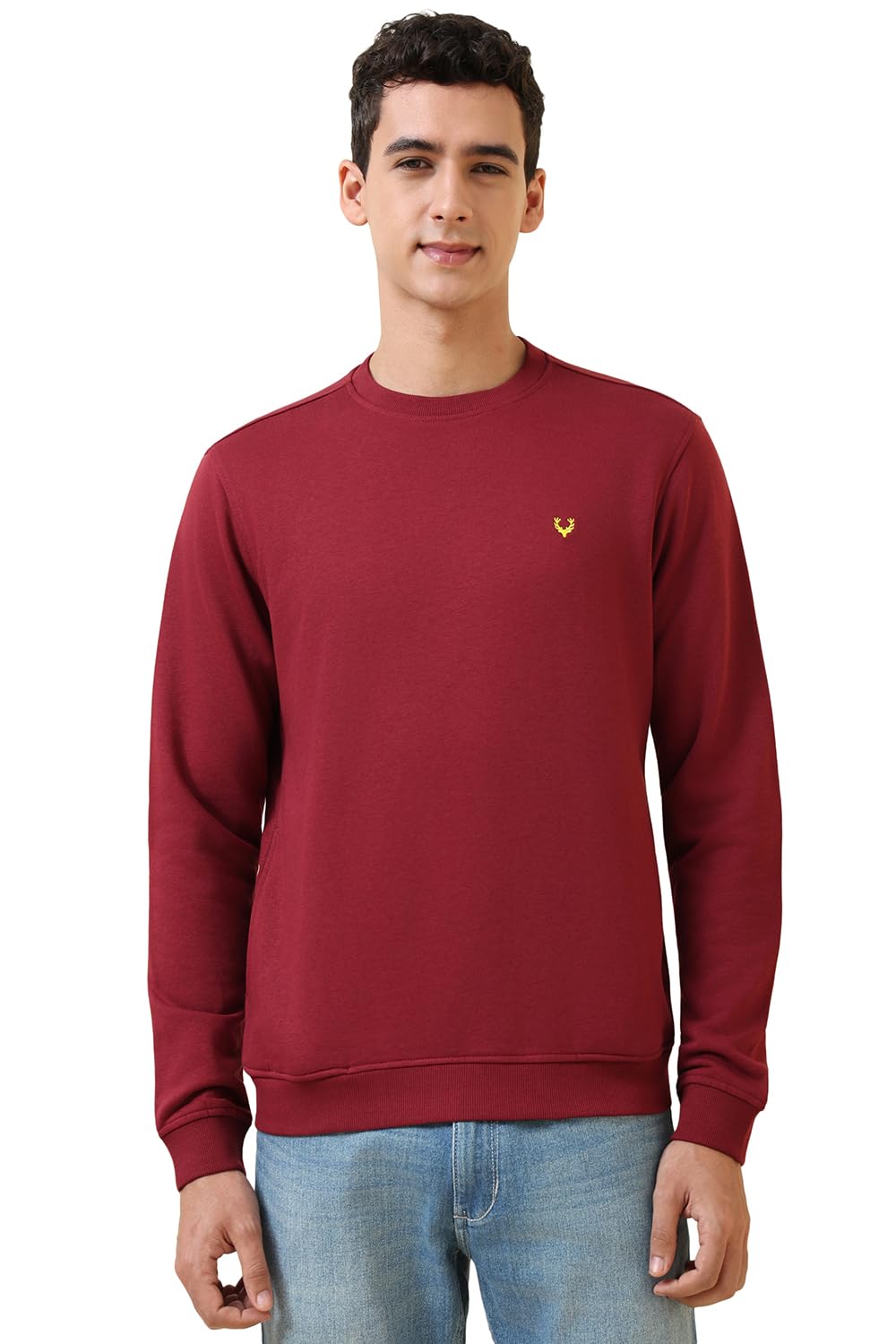 Allen Solly Men's Crew Neck Sweatshirt (ASSTQRGF567956_Maroon_M)
