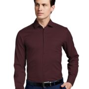 Symbol Premium Men's Wrinkle-Resistant Regular Fit Cotton Formal Shirt (SS23-SMP-FS-01_Maroon_42)