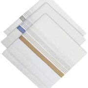 JAGMOOLYA PRODUCTS light color striped Design Men's Handkerchiefs|100% Pure Cotton & Pocket Square Hankies (2)
